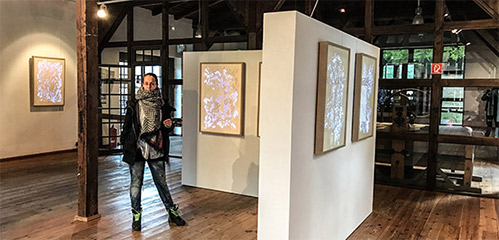 NATURE TRANSFIGURED Eine Kunstausstellung von Carolina Brack und OTGO,  Museum Baruther Glashütte