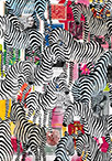 Wunderkammer Zebras: 24 pictures with about 430 stamps by OtGO 2023-2024, consists of 24 equal-sized single paintings, acryl on original Stamps, each measuring 210 by 148 mm (A5)