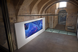 CABINET of CURIOSITIES 16th May 2025 – 28th June 2025 A solo exhibition by OtGO Curated by Thomas Eller VALLETTA CONTEMPORARY