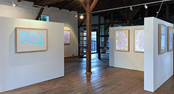 NATURE TRANSFIGURED Eine Kunstausstellung von Carolina Brack und OTGO,  Museum Baruther Glashütte