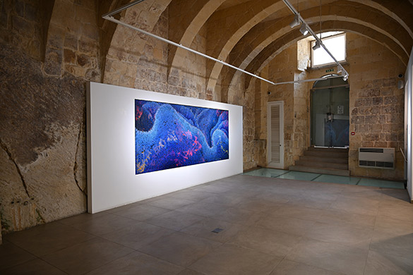 Valletta Contemporary - DALAI by OTGO 2019-2020, acryl on canvas 160 x 400 cm